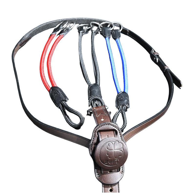 Elastic martingale C-Cure
