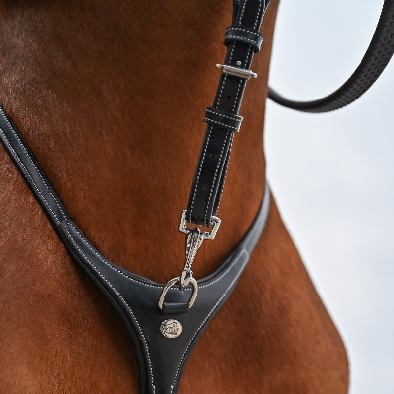 Martingale collar and Detachable fork - Jump'in | Mors & More