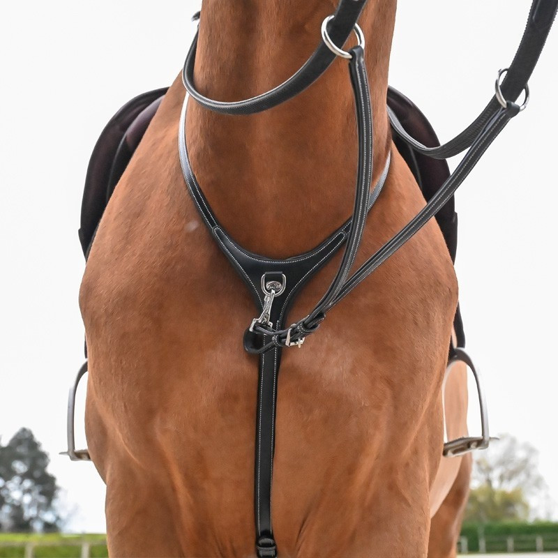 Martingale collar and Detachable fork - Jump'in | Mors & More