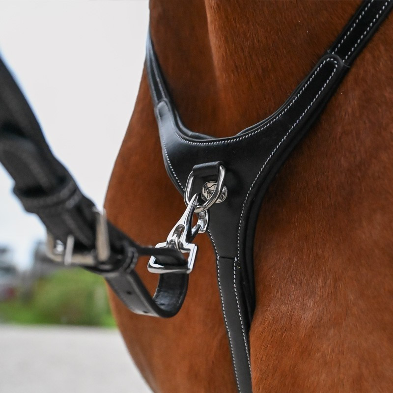 Martingale collar and Detachable fork - Jump'in | Mors & More