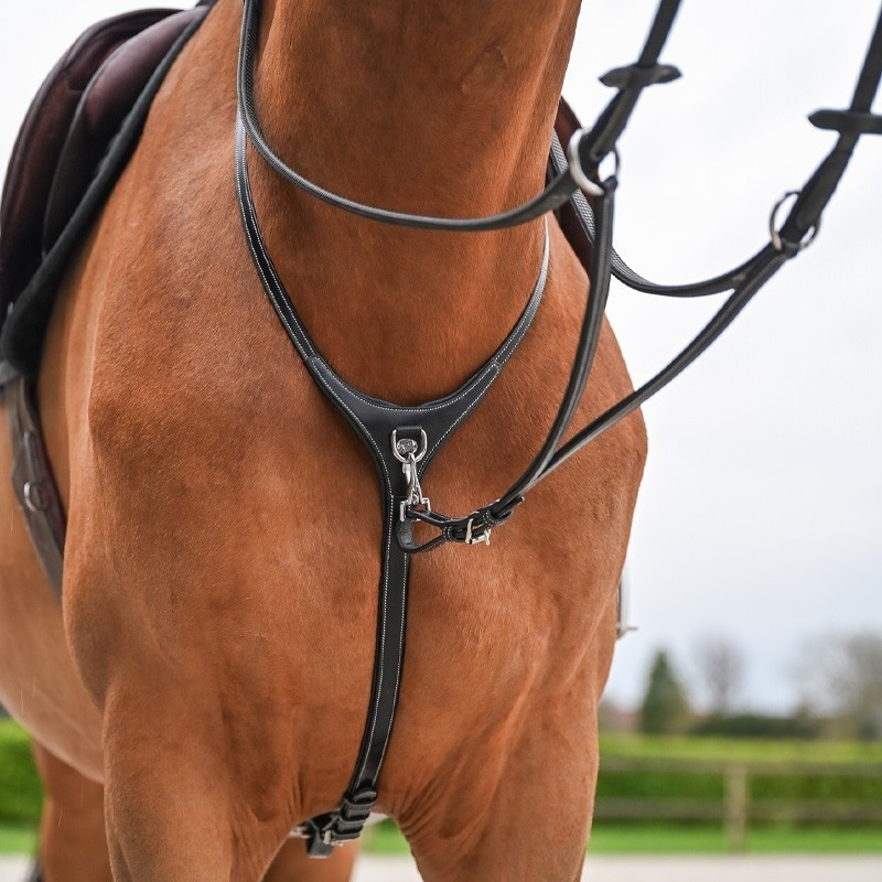 Martingale collar and Detachable fork - Jump'in | Mors & More