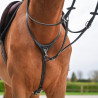 Martingale collar and Detachable fork - Jump'in | Mors & More