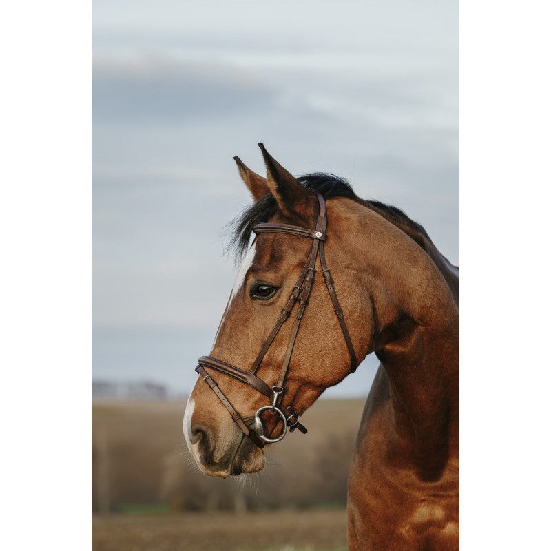 Norton Club Bridle Easy