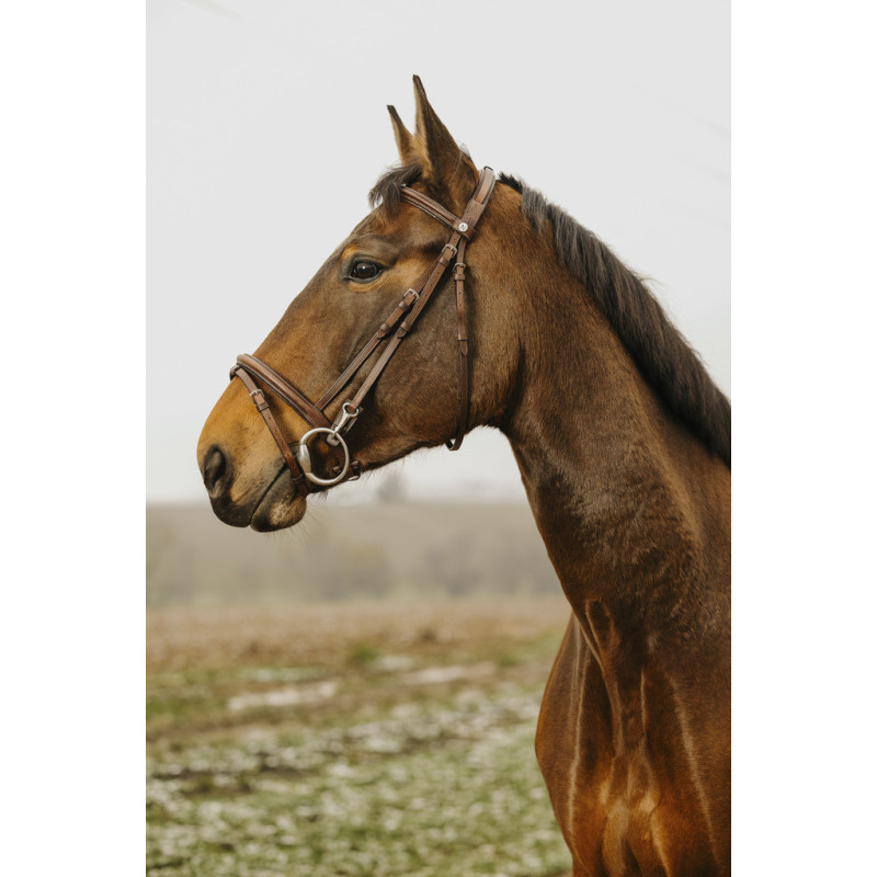 Norton Club Bridle Easy