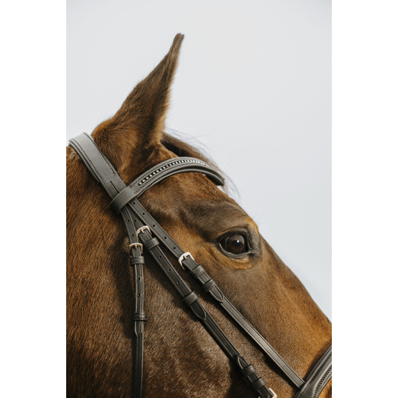 Norton Club Bridle V-shaped