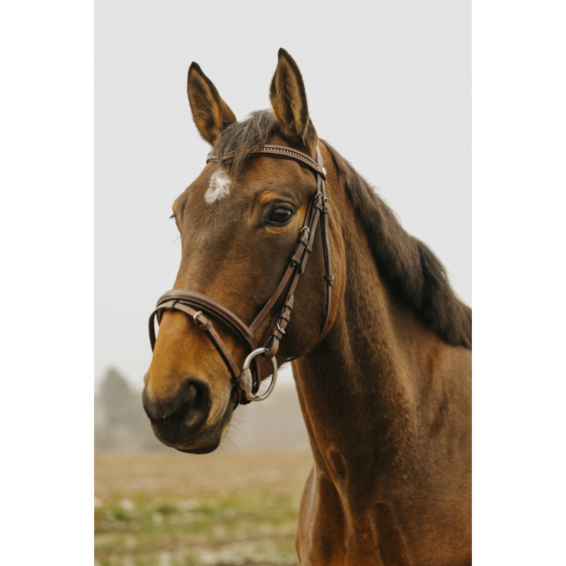 Norton Club Bridle V-shaped