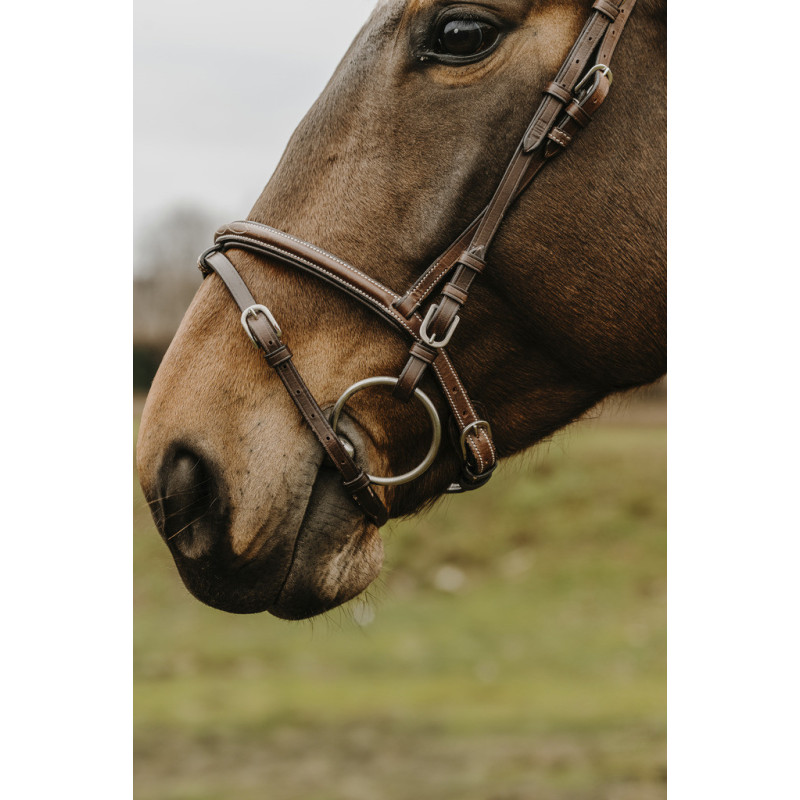 Norton Club Bridle Deco