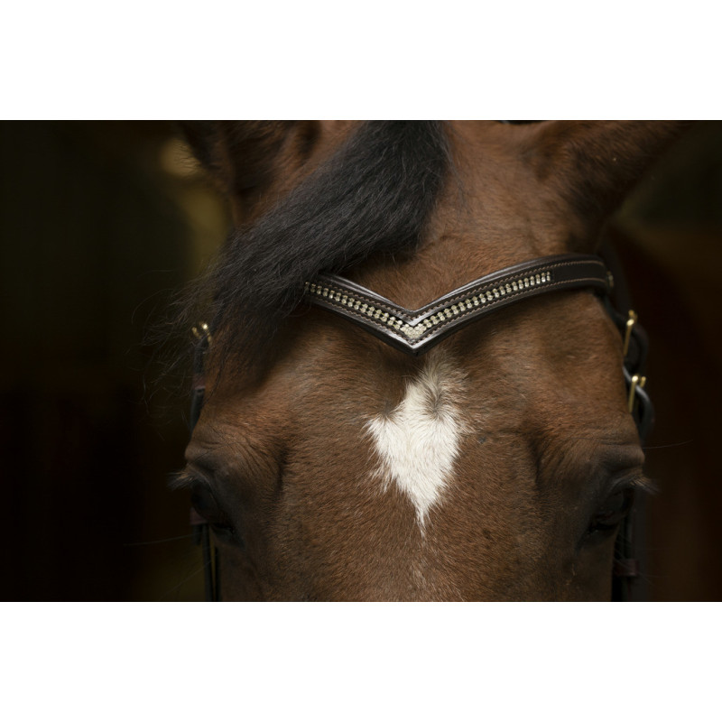 V shape Browband with Strass Norton