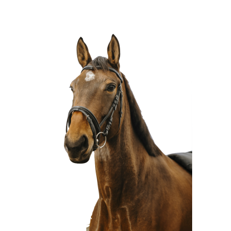 Norton Club Bridle V-shaped