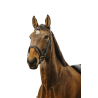 Norton Club Bridle V-shaped