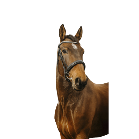 Norton Club Bridle Diva