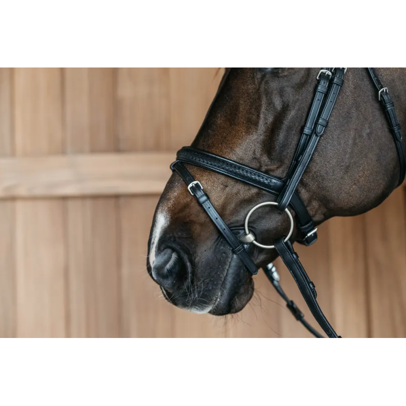 Plaited Medium Noseband with Pull-back - New English