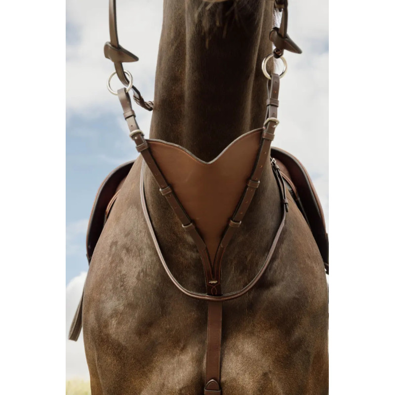 Running Martingale Dy'on