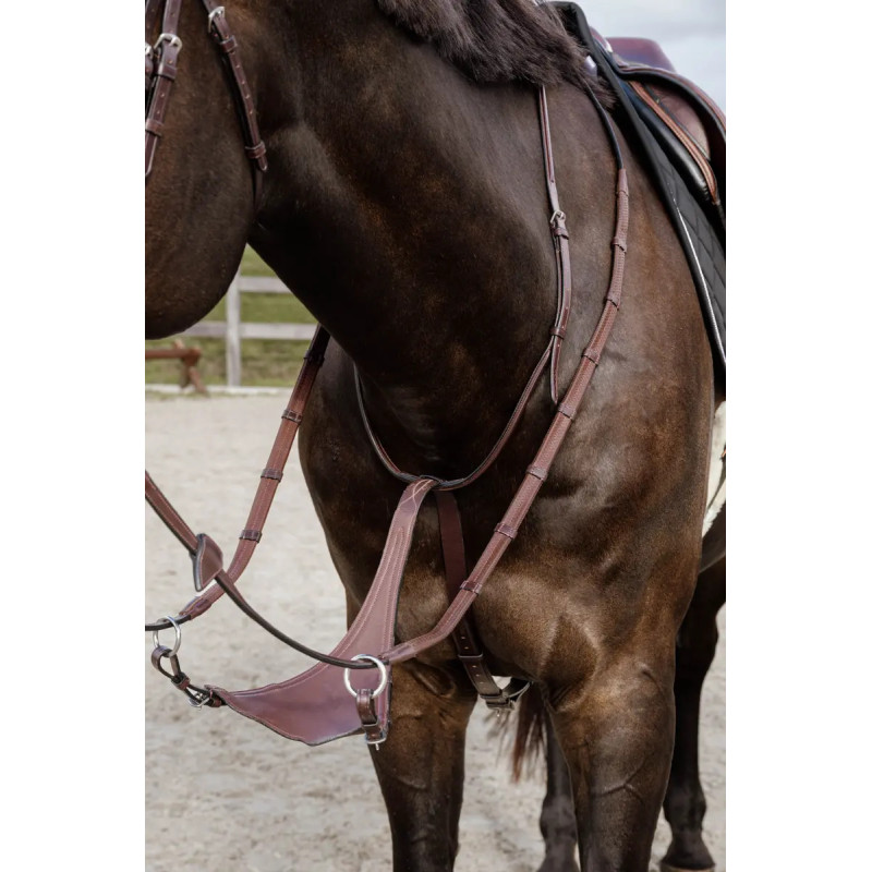 Running Martingale Dy'on