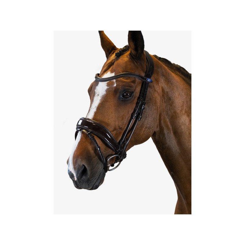 Bridle Flying Change Deluxe
