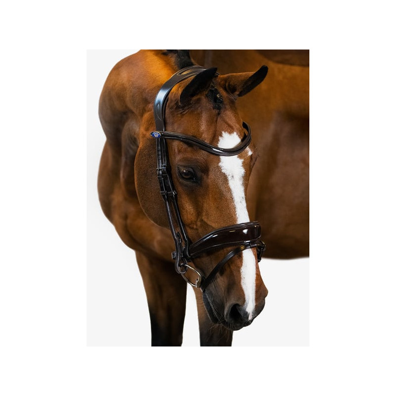Bridle Flying Change Deluxe