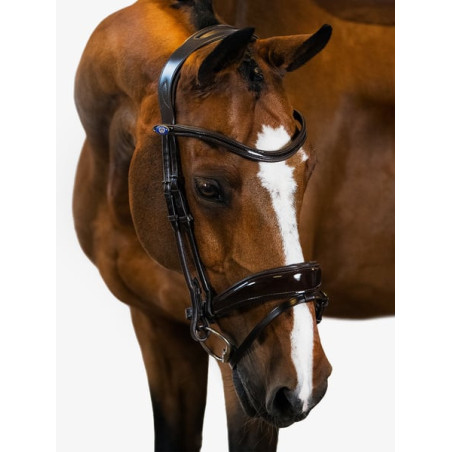 Bridle Flying Change Deluxe