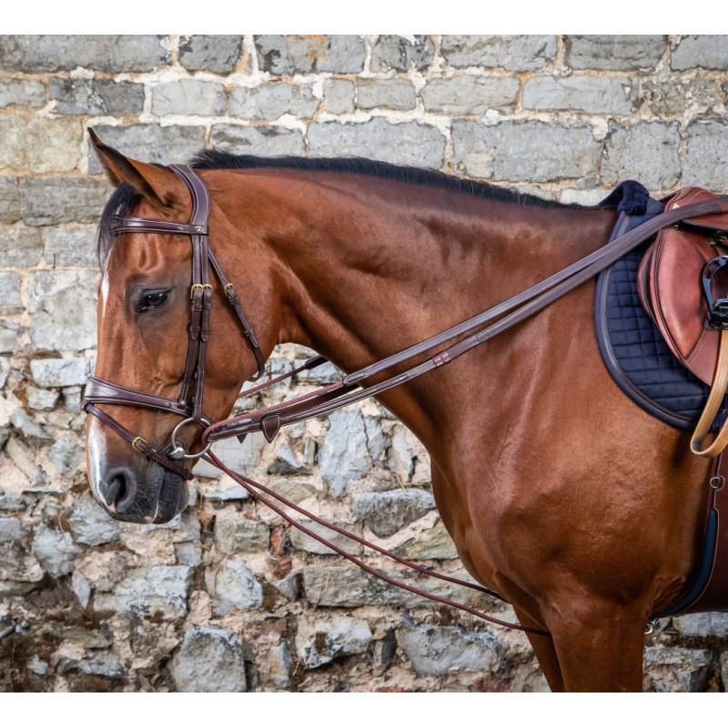 Leather/Nylon Draw Reins 5/8" - D Collection
