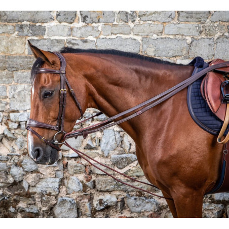 Leather/Nylon Draw Reins 5/8" - D Collection