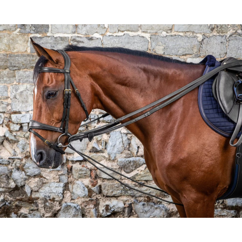 Leather/Nylon Draw Reins 5/8" - D Collection