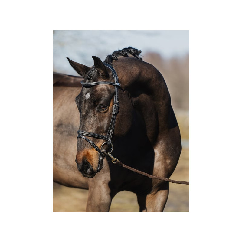 Bridle Stockholm