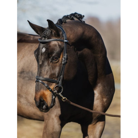 Bridle Stockholm