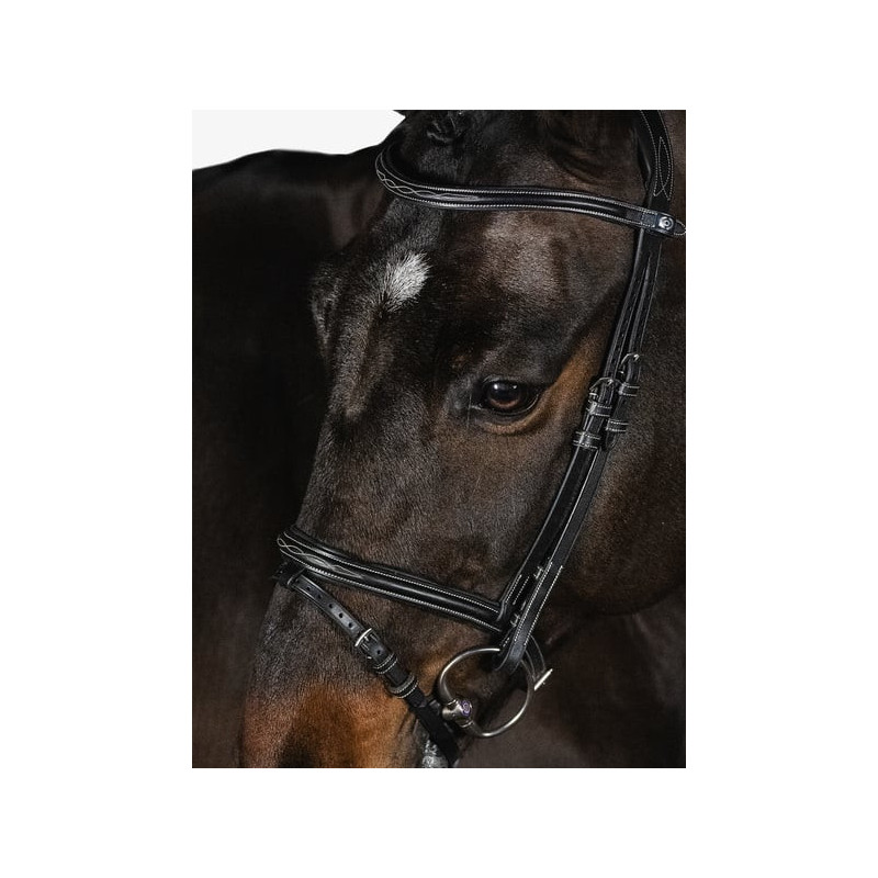 Bridle Stockholm