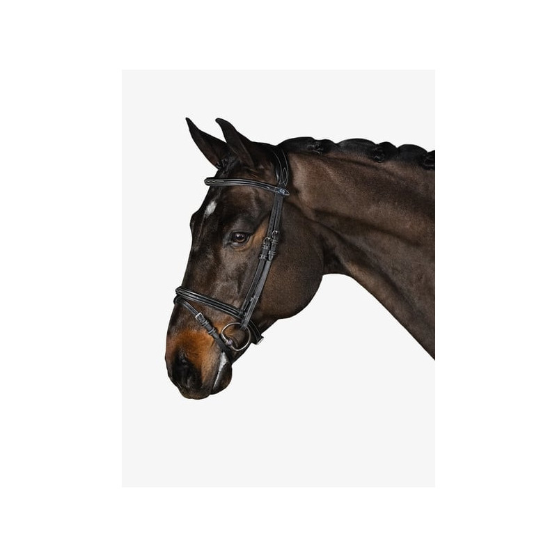 Bridle Stockholm