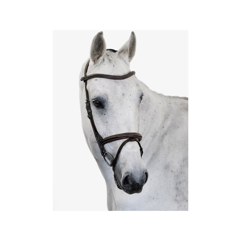 Bridle Stockholm