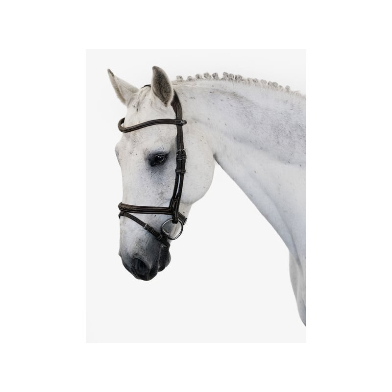 Bridle Stockholm
