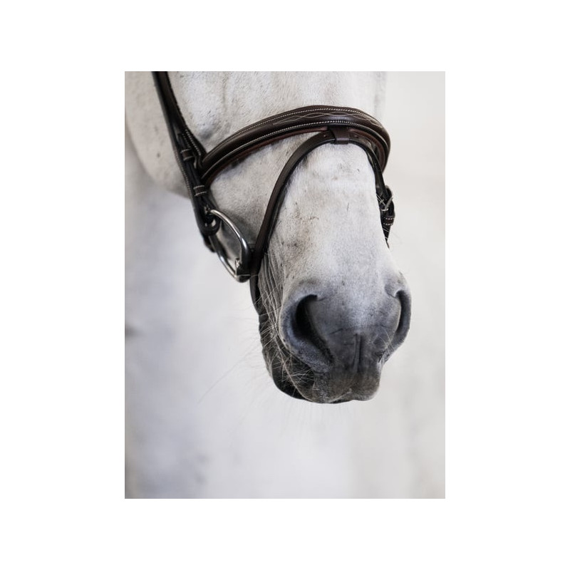 Bridle Stockholm