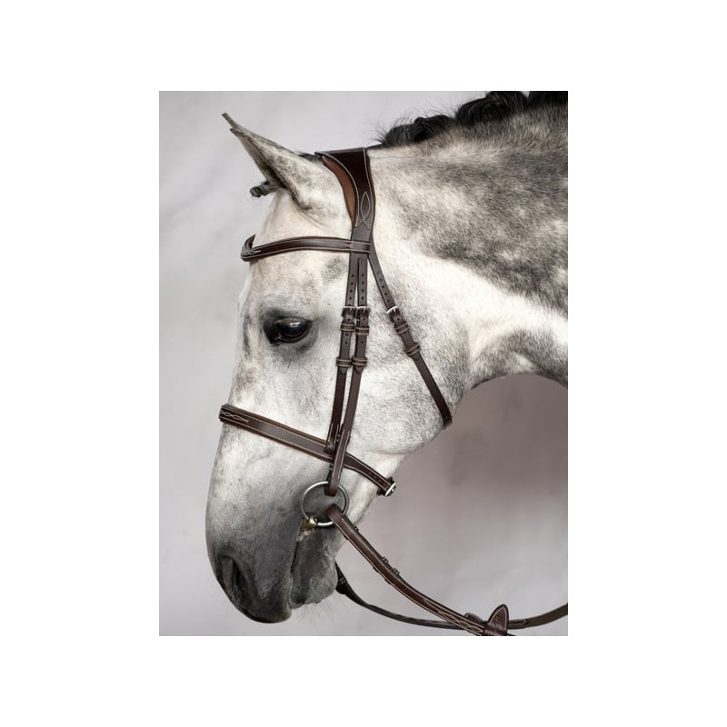 Ocala Bridle