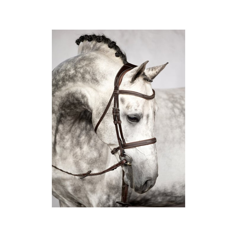 Ocala Bridle