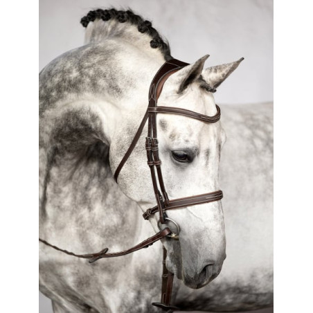 Ocala Bridle
