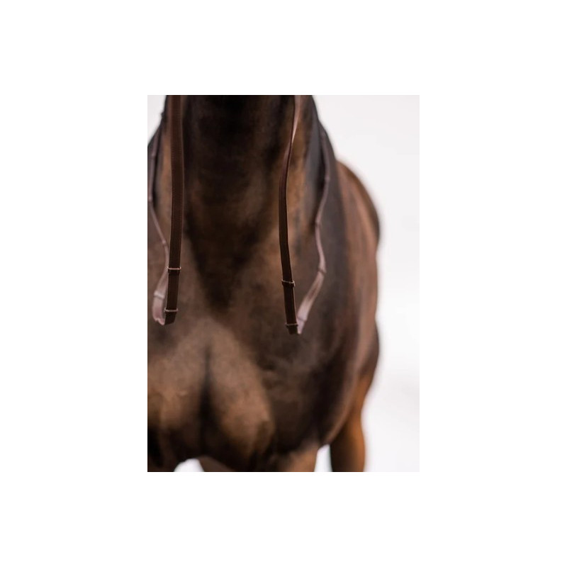 Leather Reins Softy
