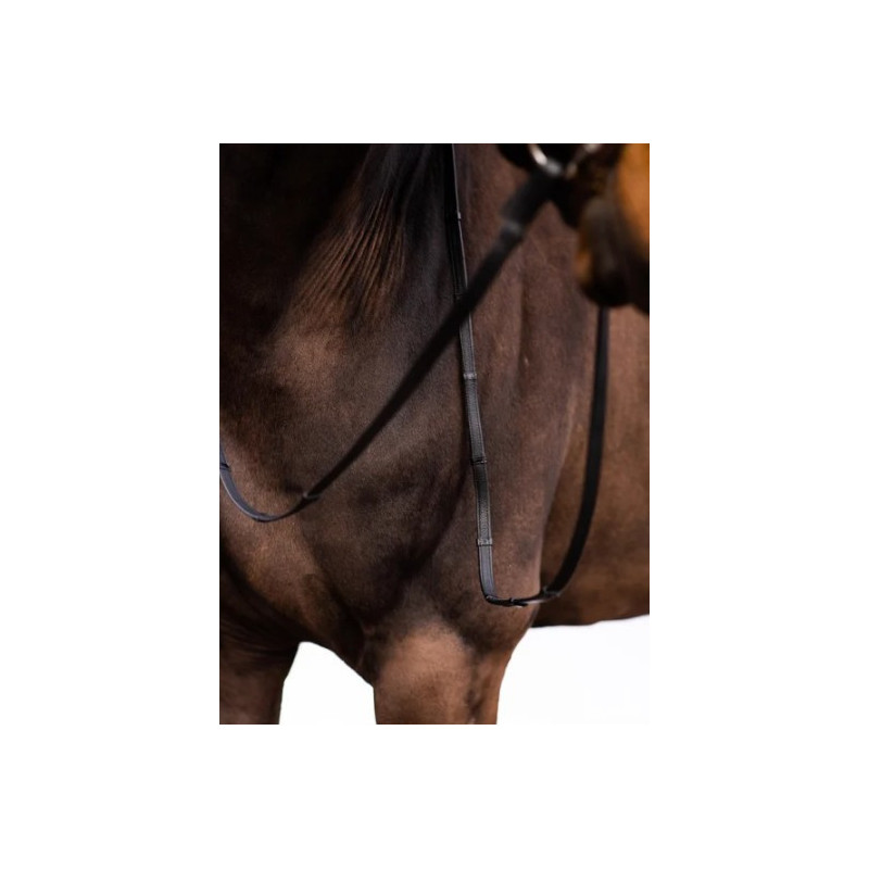 Leather Reins Softy