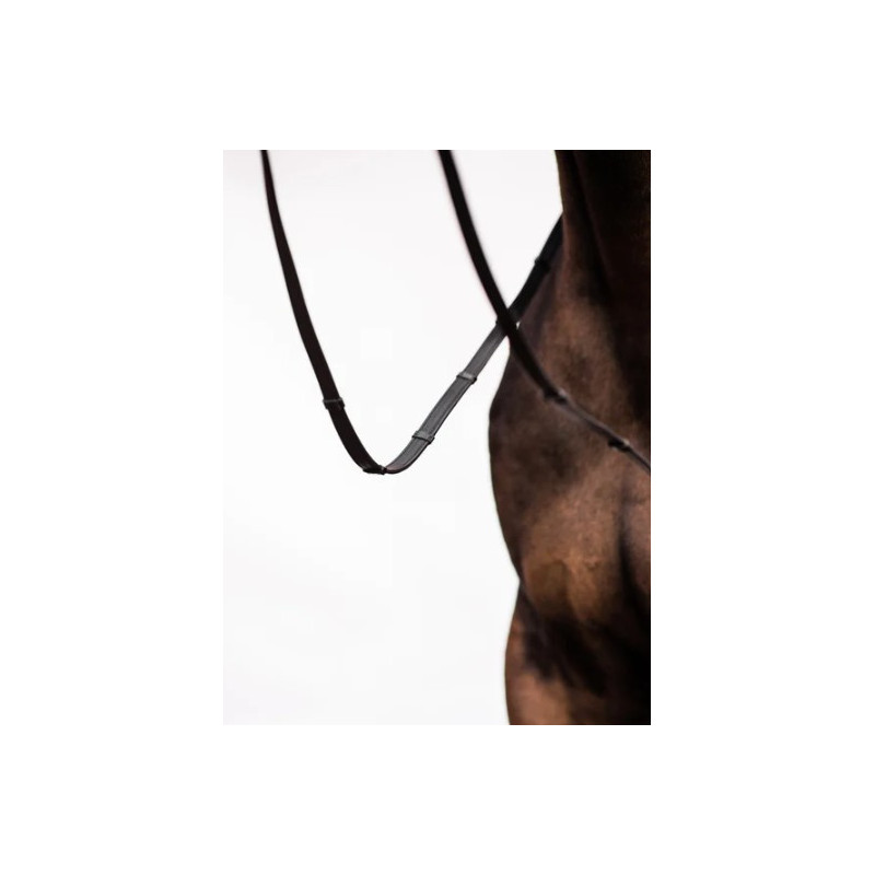 Leather Reins Softy