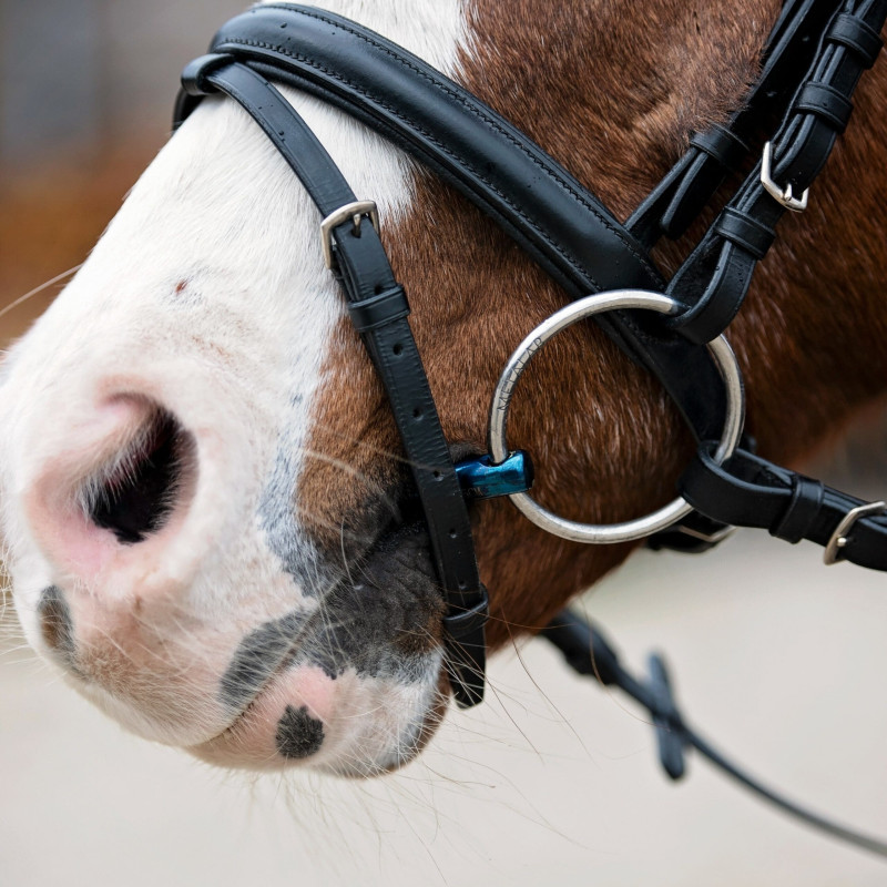 Loose ring snaffle Eco Blue, double jointed METALAB