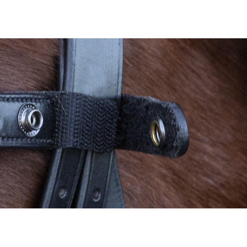 Peach SP Siena Select Browband Schockemöhle