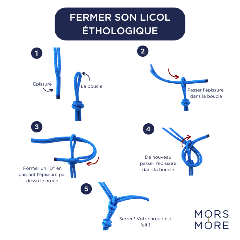 Licol Ethologique avec décoration