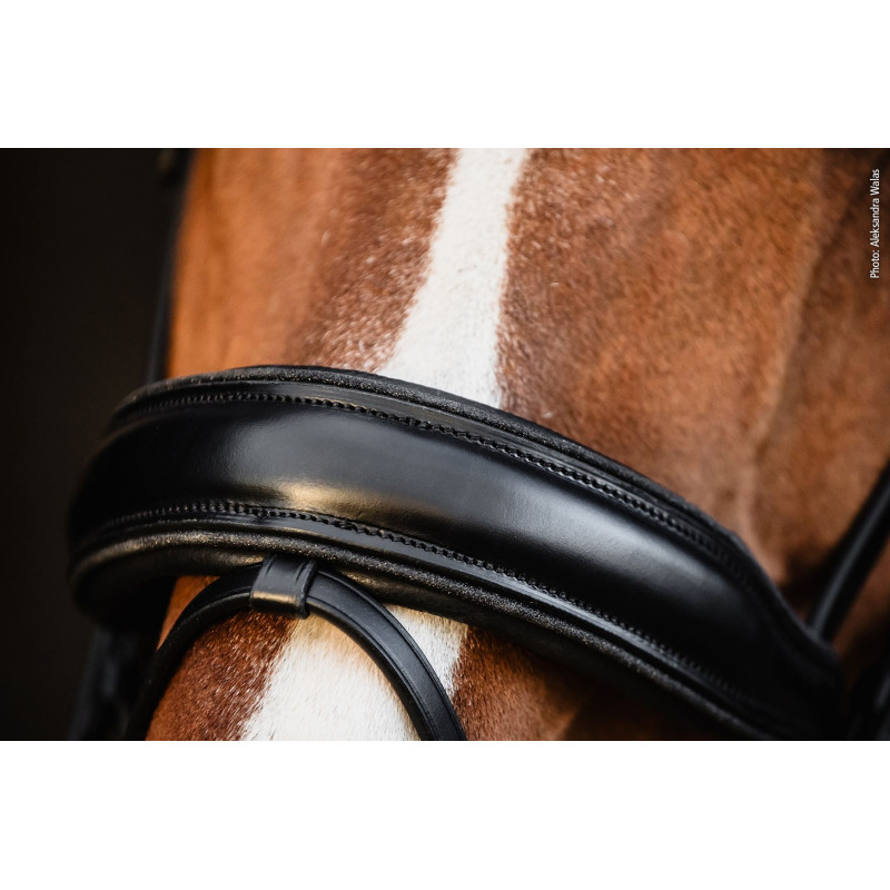 Bridle SP Valencia