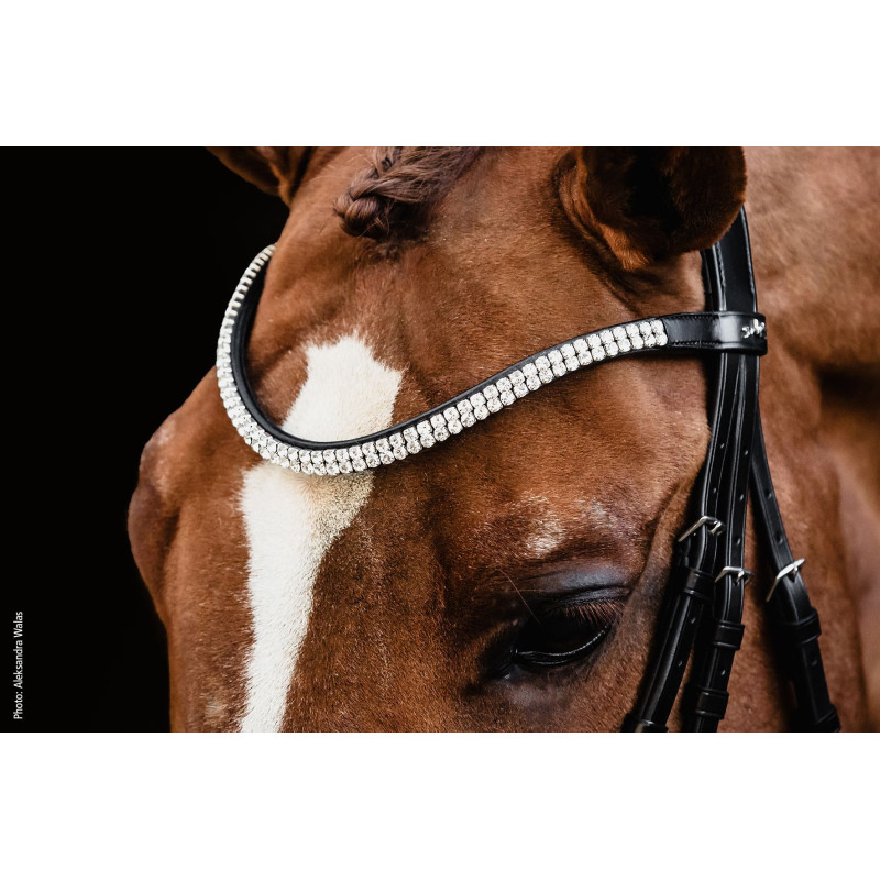 Bridle SP Valencia