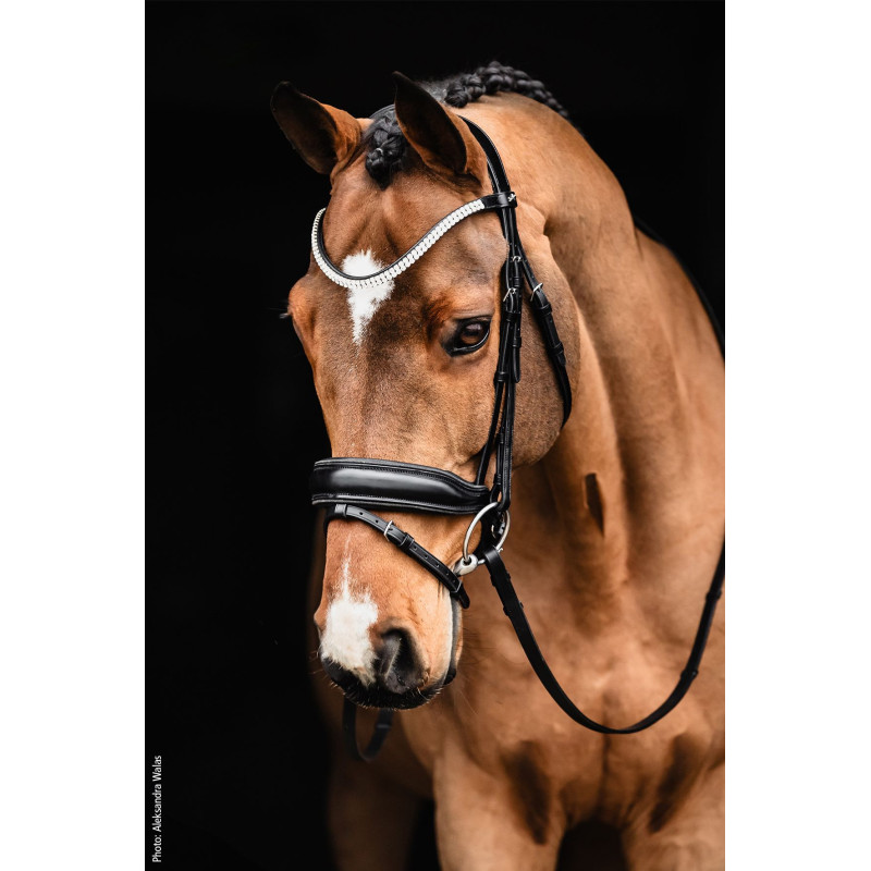 Bridle SP Valencia