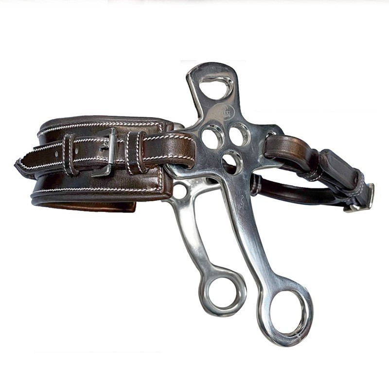 Small Flat shanks with leather Hackamore rectangle noseband
