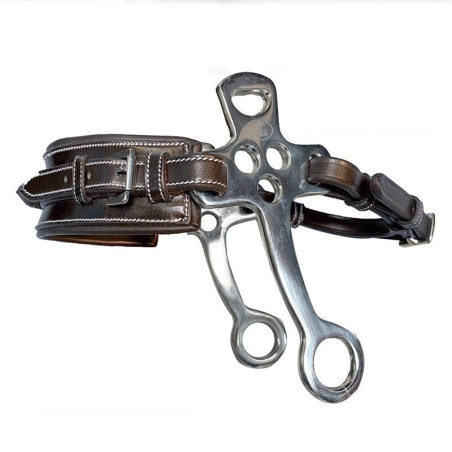 Small Flat shanks with leather Hackamore rectangle noseband