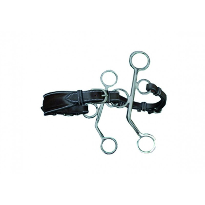 Leather hackamore small shanks