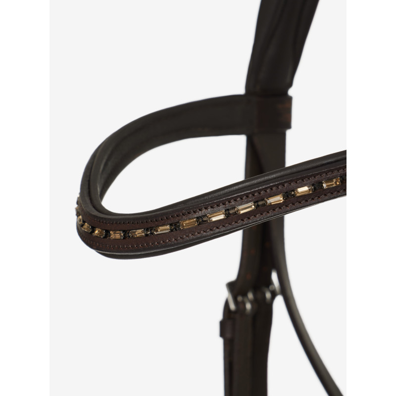 Arika dressage Bridle
