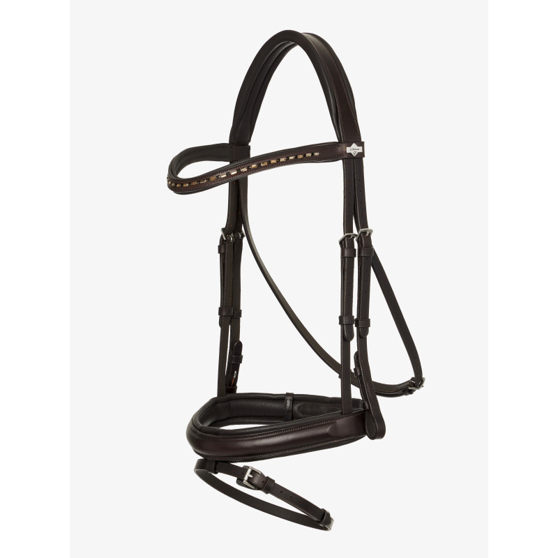 Arika dressage Bridle