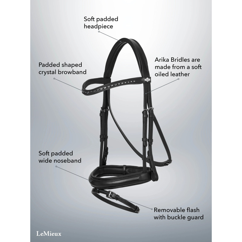 Arika dressage Bridle