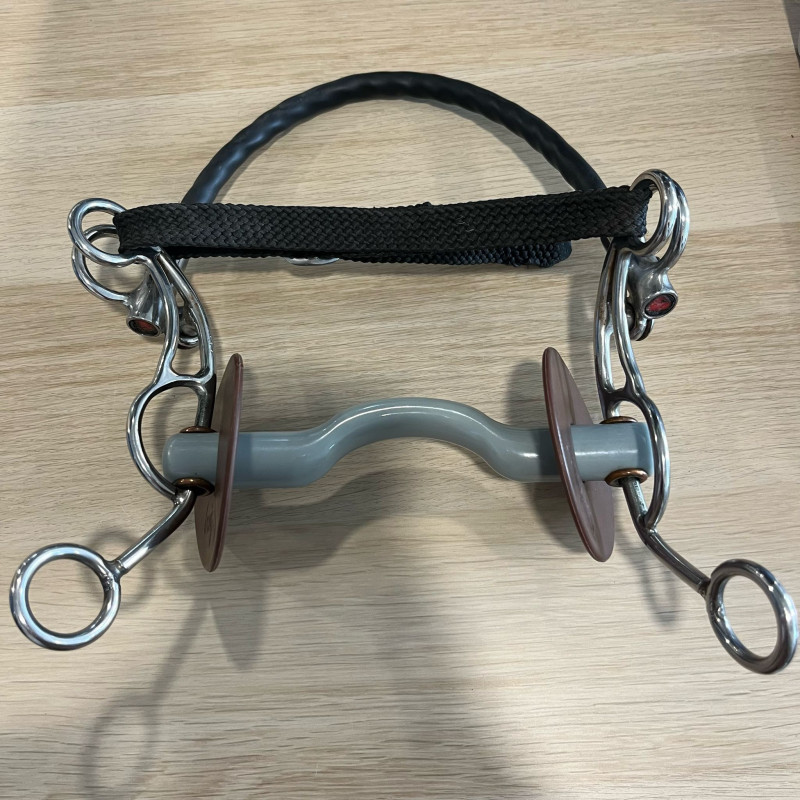 Tandem US with tongue port snaffle used
